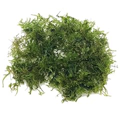 Grams christmas moss for sale  Delivered anywhere in UK