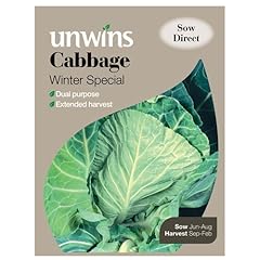 Unwins cabbage spring for sale  Delivered anywhere in UK