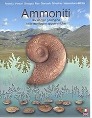 Ammoniti viaggio geologico usato  Spedito ovunque in Italia 