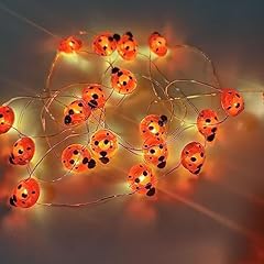 Wonfast ladybugs fairy for sale  Delivered anywhere in USA 