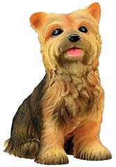 Yorkshire terrier puppy for sale  Delivered anywhere in USA 