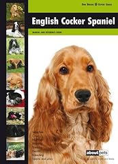 English cocker spaniel d'occasion  Livré partout en France