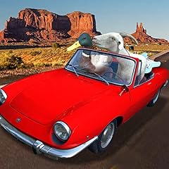 850 spider usato  Spedito ovunque in Italia 