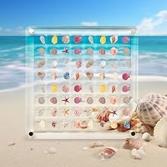 Acrylic magnetic seashell for sale  Delivered anywhere in USA 