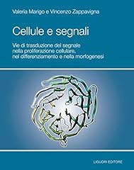 Cellule segnali vie usato  Spedito ovunque in Italia 
