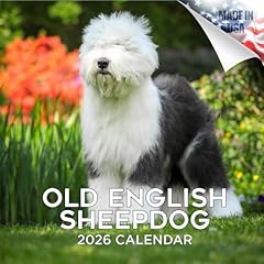 2025 2026 old for sale  Delivered anywhere in USA 