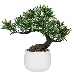 Dilatata fake bonsai for sale  Delivered anywhere in USA 