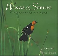 Wings spring courtship d'occasion  Livré partout en Belgiqu