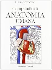 Compendio anatomia umana usato  Spedito ovunque in Italia 