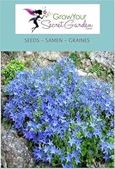 Campanula garganica campanule d'occasion  Livré partout en France