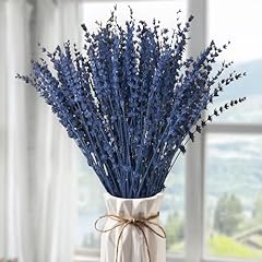 Dried blue lavender for sale  Delivered anywhere in USA 