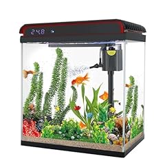 Gallon betta fish for sale  Delivered anywhere in USA 