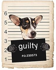 Rat terrier dog for sale  Delivered anywhere in USA 