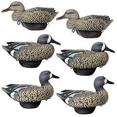 Blue wing teal for sale  Delivered anywhere in USA 