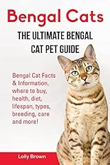 Bengal cats bengal d'occasion  Livré partout en France