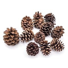 Envirolog grade ponderosa for sale  Delivered anywhere in USA 