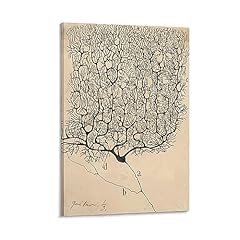 Neuron drawing santiago for sale  Delivered anywhere in USA 