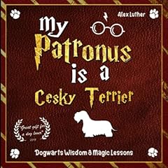 Patronus cesky terrier for sale  Delivered anywhere in UK