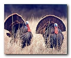 Pair wild turkeys for sale  Delivered anywhere in USA 