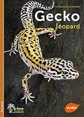 leopard gecko d'occasion  Livré partout en France