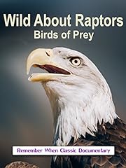 Wild raptors birds for sale  Delivered anywhere in USA 