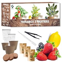Kit mini frutta usato  Spedito ovunque in Italia 