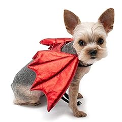 Dogo pet dragon for sale  Delivered anywhere in USA 