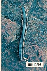 Millipede composition notebook for sale  Delivered anywhere in UK