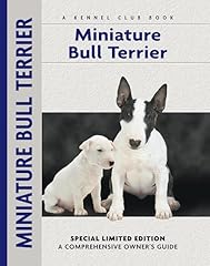 Miniature bull terrier usato  Spedito ovunque in Italia 