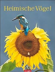Heimische vögel kalender gebraucht kaufen  Wird an jeden Ort in Deutschland