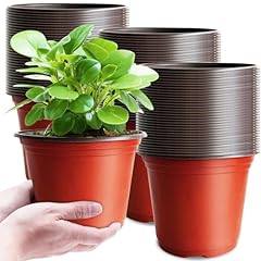 Baaxxango 100 pcs for sale  Delivered anywhere in USA 
