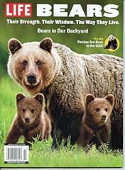 Life magazine bears for sale  Delivered anywhere in USA 