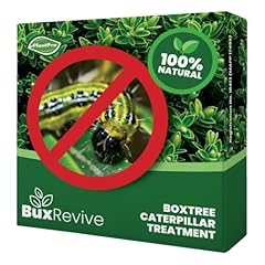 Plantpro box tree for sale  Delivered anywhere in UK