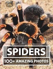 Spider photography spiders for sale  Delivered anywhere in USA 