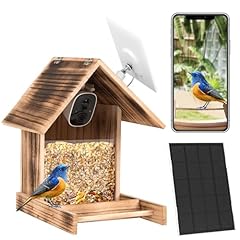 Lefluffy bird feeder for sale  Delivered anywhere in UK