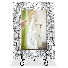 Zwsrplo pet cat for sale  Delivered anywhere in USA 