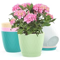 Kaheaum inch flower for sale  Delivered anywhere in USA 