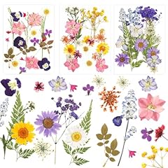 Nviyam 66pcs fleurs d'occasion  Livré partout en France