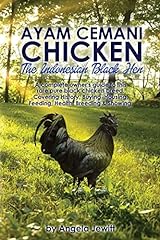Ayam cemani chicken d'occasion  Livré partout en Belgiqu