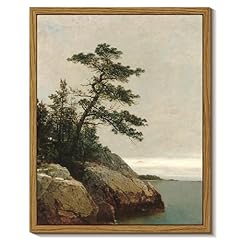 Insimsea seashore botanical for sale  Delivered anywhere in USA 