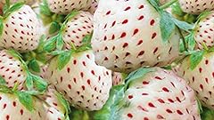 White strawberry seeds for sale  Delivered anywhere in USA 