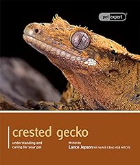 Crested gecko pet d'occasion  Livré partout en Belgiqu
