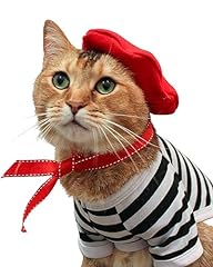 French cat outfit for sale  Delivered anywhere in USA 