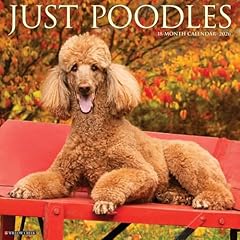 Poodles 2026 wall for sale  Delivered anywhere in UK