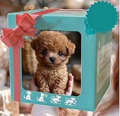 Generisch real puppy gebraucht kaufen  Wird an jeden Ort in Deutschland