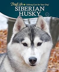 Siberian husky lifelong d'occasion  Livré partout en Belgiqu