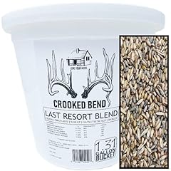 Crooked bend last for sale  Delivered anywhere in USA 