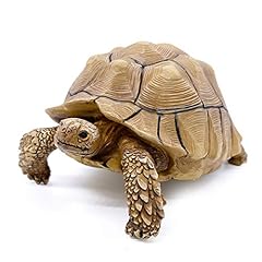 Ppclion sulcata tortoise for sale  Delivered anywhere in USA 
