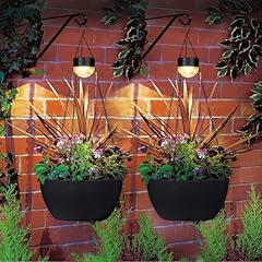Packs hanging planters for sale  Delivered anywhere in USA 