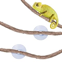 Sungrow reptile vine for sale  Delivered anywhere in USA 